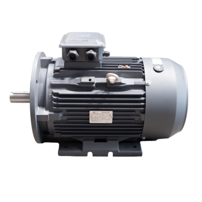 55KW TEC IE3 4 POLE CAST IRON B35 MOUNT AC MOTOR